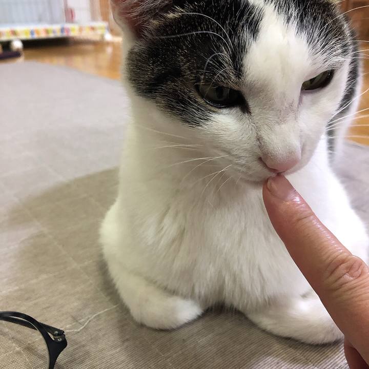 6b602fe7 3eba 45f6 b284 10766f2372b7 1655467349113