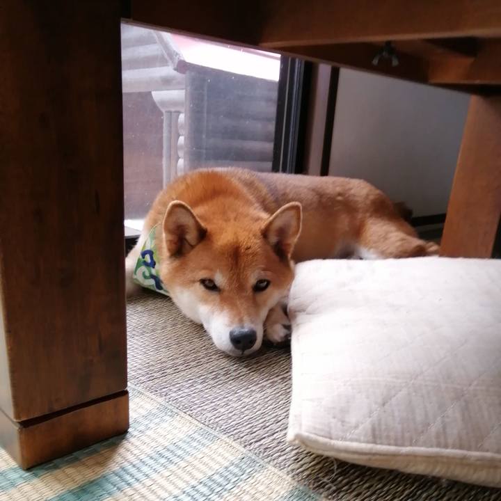 6b603a06 515f 48d4 9c3a ec06541d4fc2 1596252096584