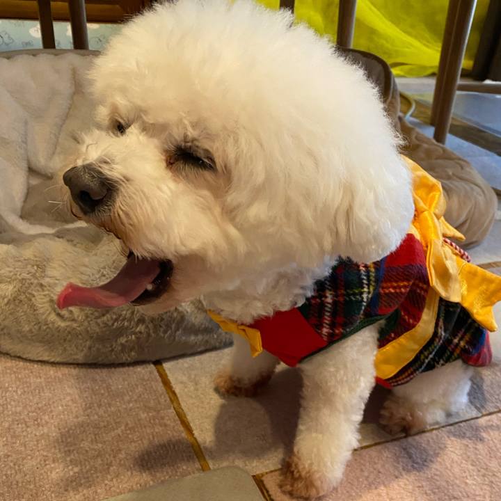 6b604cde 6c15 4ac1 ade5 0c0626fd841e 1766551272354