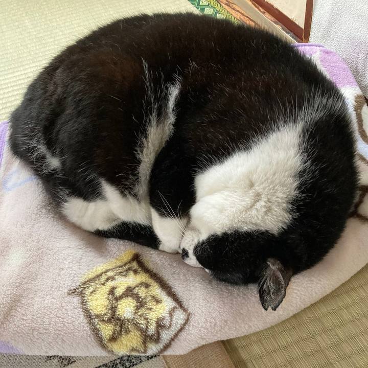 6b6062e1 3d56 4add 8038 61712c5c4616 1665040452430