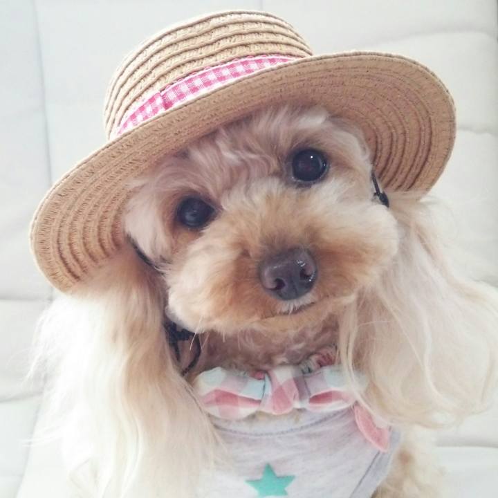 6b606d6e 8f02 44a9 93e3 f801baa59871 1523358299112