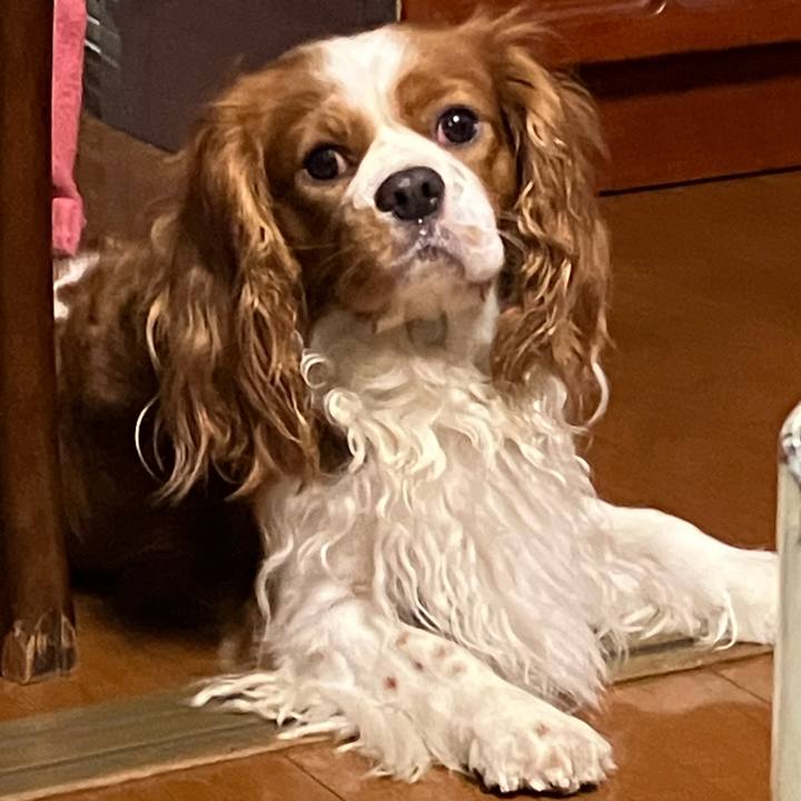 6b6091af 559d 478f 8c55 154a0098214b 1660559696558