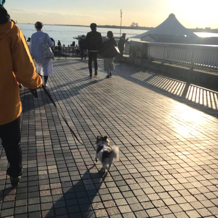 6b609e18 fa6c 49b7 841c 4e793c03d995 1637652152166