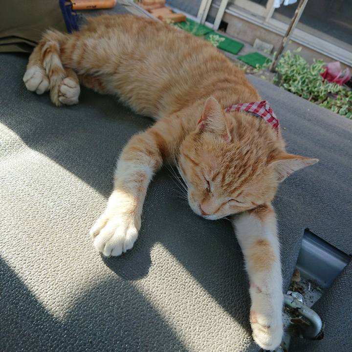 6b60ac72 12ed 4e90 9403 98bf70a7a283 1559203758488