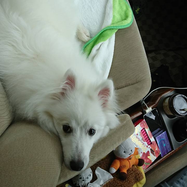 6b60bab7 ef1f 41d5 b082 20ad68a8b60a 1556760852966