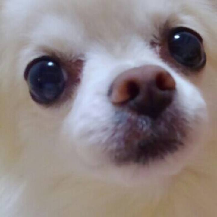 6b60bdc5 65ec 4f03 9e5b 461c6a385e09 1538556575500