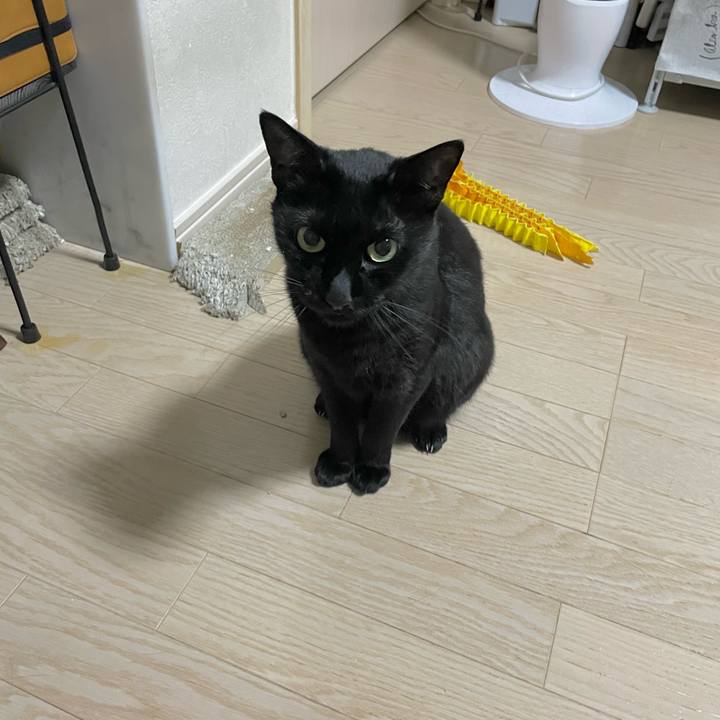 6b60d184 d4d0 4cdc 8bc9 31035adbf942 1725023557604