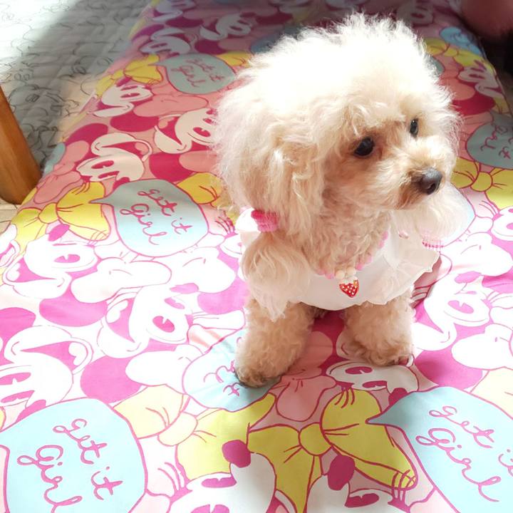 6b60e288 4ab5 48be bed3 2ab0b069ad0d 1569156213273