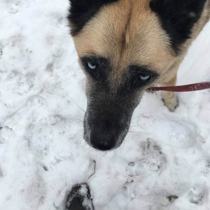 6b618cb1 36c7 44c7 8f59 985170c3d20d 1544096691036