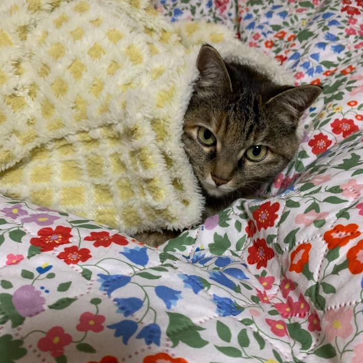 6b61a056 5643 4f8d 98c3 a46126836470 1707131516685