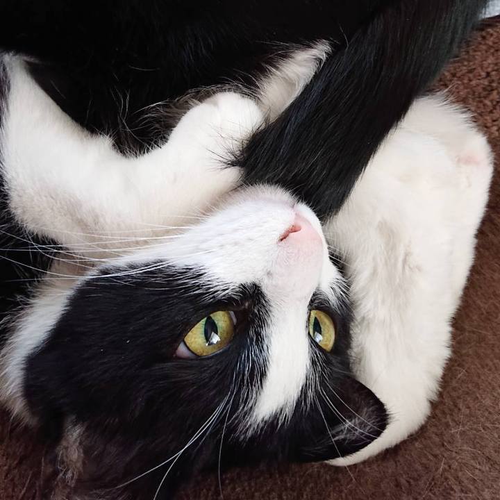 6b61c446 5611 41a1 85e4 7b0a953b6483 1584633645405