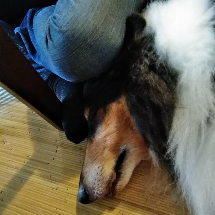 6b61cf2a 82fb 49f6 b9c8 93009e26b3b9 1507991993093