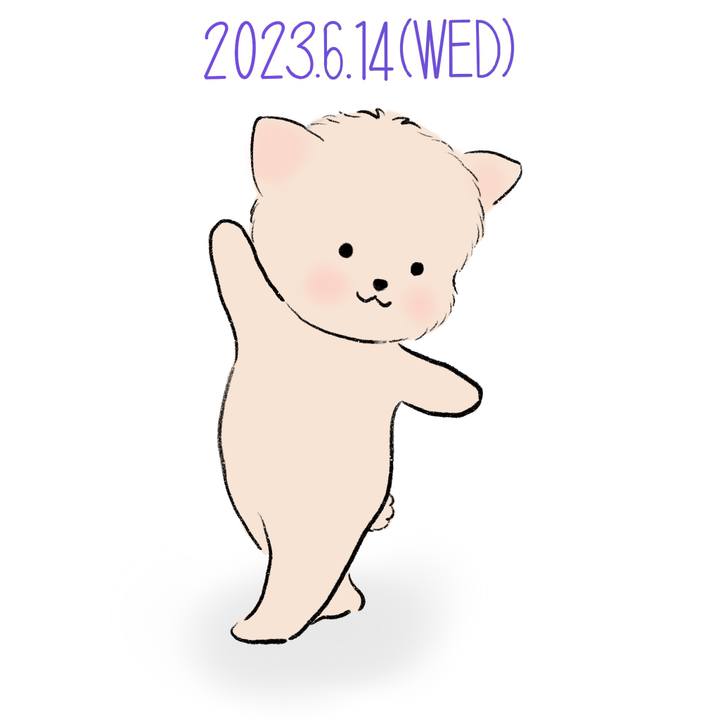 6b61f4e4 6d06 4f97 b8d5 675a9b48bd01 1686745039572