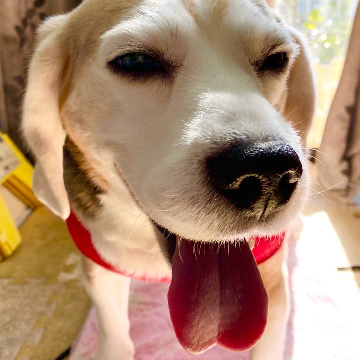 6b62134e 627d 44fb adf1 fda9082587a2 1613883914162