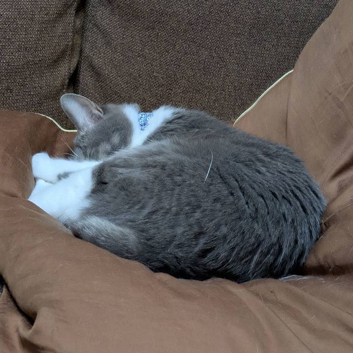 6b621431 3feb 4e11 b9b0 d54e58ed97d2 1739191887398