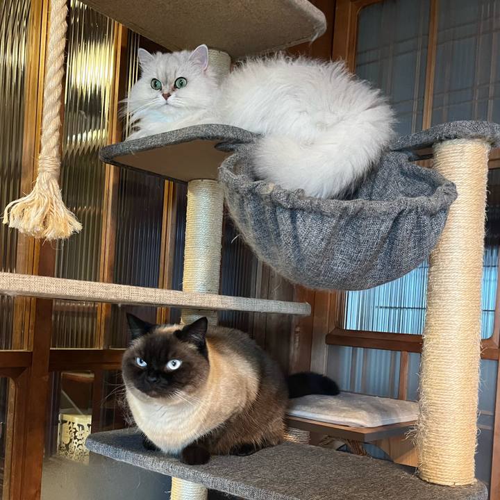 6b621cfa 0278 4b5c bcc4 5fc037f2ac4d 1684820181353