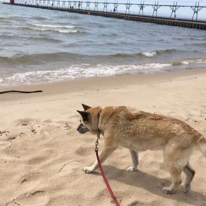 6b62268e d5d9 4db1 bf62 965dcd07d4c6 1526432887916