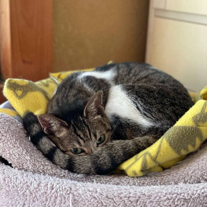 6b6240d7 e204 4a0b b4db 3451471f7035 1640742319945