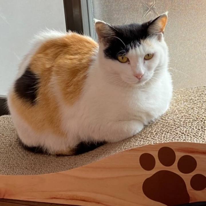 6b628236 8b0b 44bf 9b7b 85aeea9af5a0 1621342406702