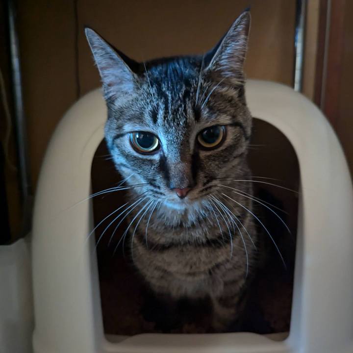 6b628bc5 9b54 45a5 acc7 7ea801fbfc62 1723892241453