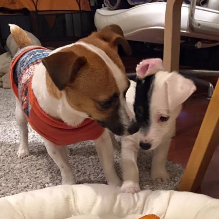 6b62b12b b492 4e5c af8a 538337d5e783 1644233266522