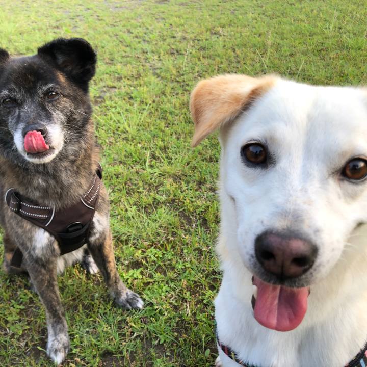 6b62bc0c d325 4f13 bef8 65708df518a7 1623326865764