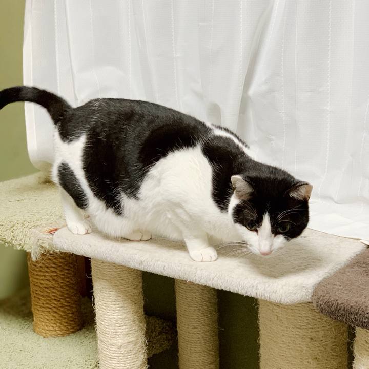 6b62e264 b70a 45ec 9550 802da7e0cc62 1550370371450