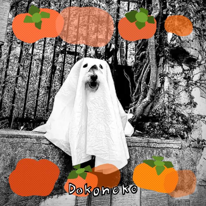 6b630bef 2a4f 45bb bec7 26b0a24499af 1761399944605