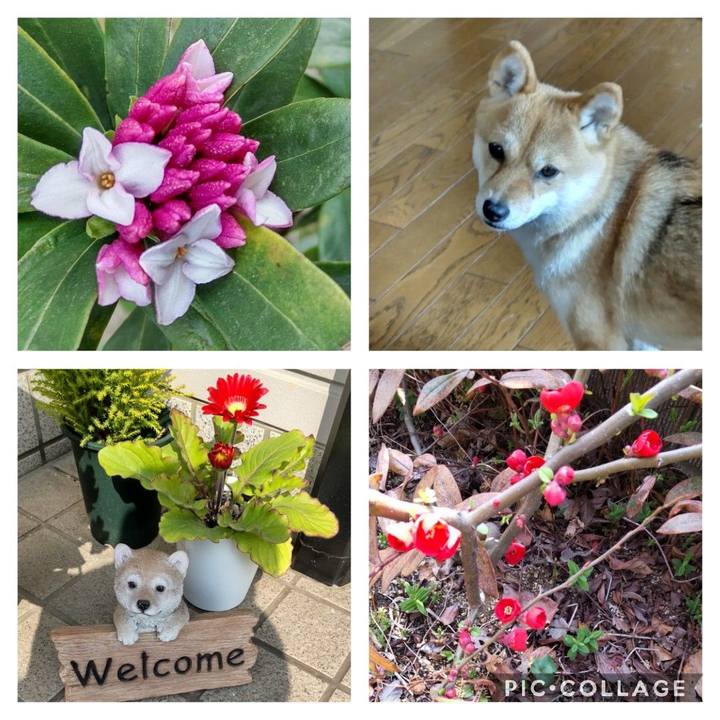 6b639ca1 9273 4dce 8618 9fb2a698cf8c 1647049933641