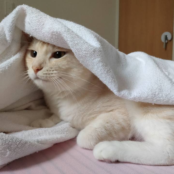 6b63a0da f50f 41c1 9e9c 0936e5a52399 1663717517695