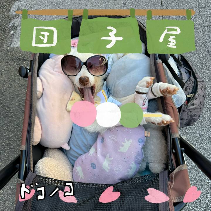 6b63c48d 269c 42ed 9c03 6f82b035fa76 1712239672141