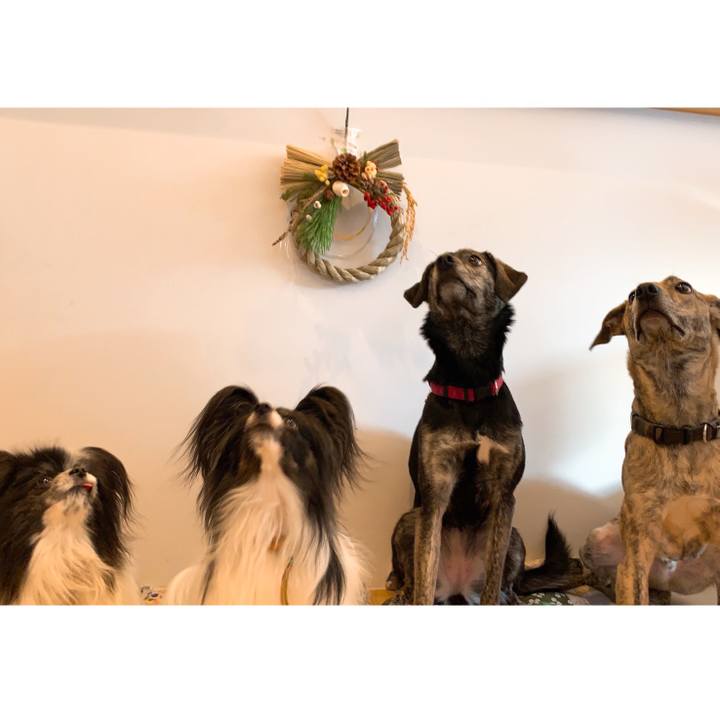 6b63c6ac ab62 4109 ba58 755e4285bdb4 1609367689024