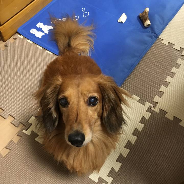 6b63d1a9 62e0 4437 b131 d9a60d3c19c9 1564668949614