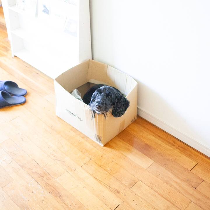 6b63f9c1 9016 46ef 8967 66852c0a580e 1565581894273