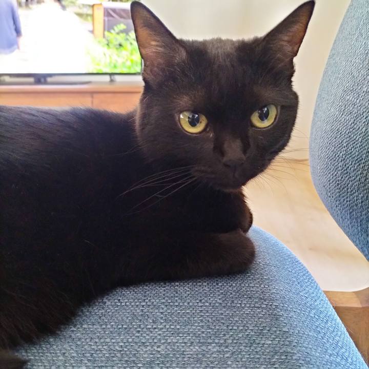 6b63fcf3 917b 4573 bc7f 8637ef6b5611 1696026625081