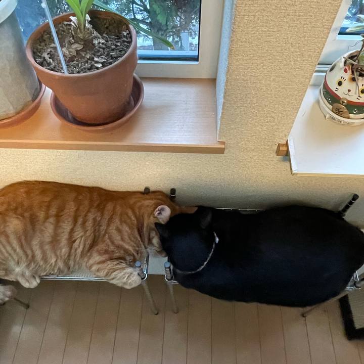 6b640f73 0a5a 4853 938c 7cd68816ef9a 1612007986070