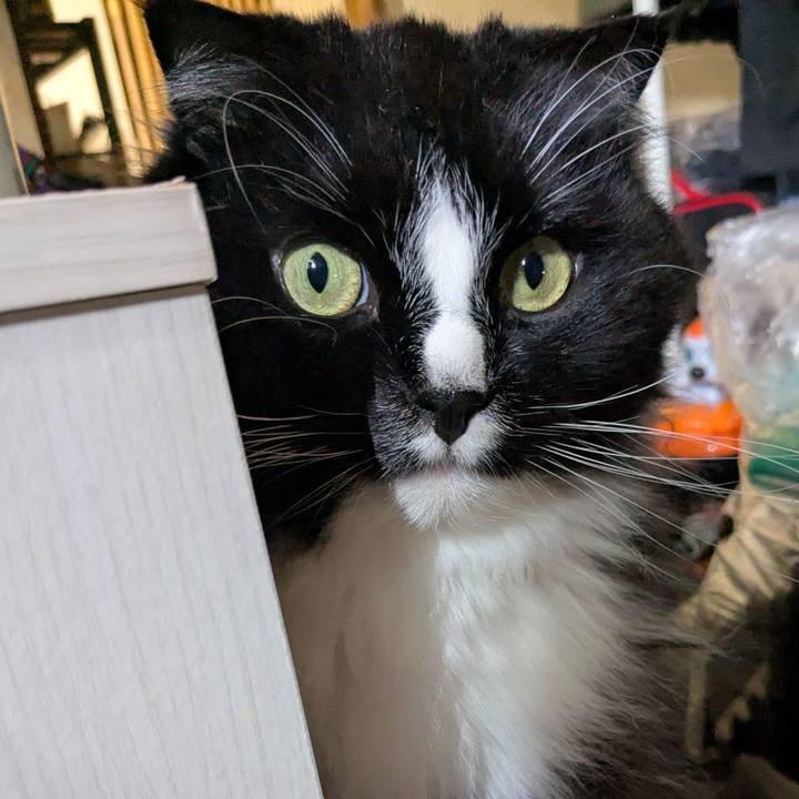 6b642ce9 702d 4e42 80c3 428bf543f529 1743311081025