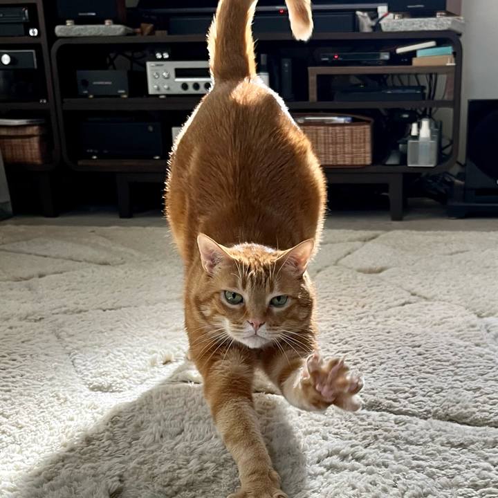 6b644911 6c7d 4308 a9fc 1889b35c15a1 1684575068650