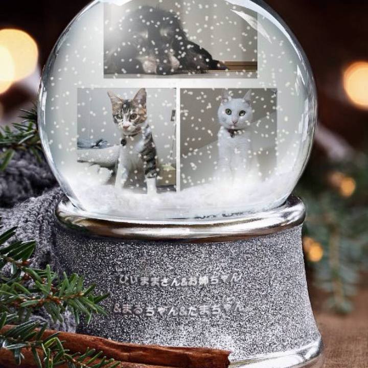 6b646865 6d05 4bab bb87 6314726305b4 1640349152054