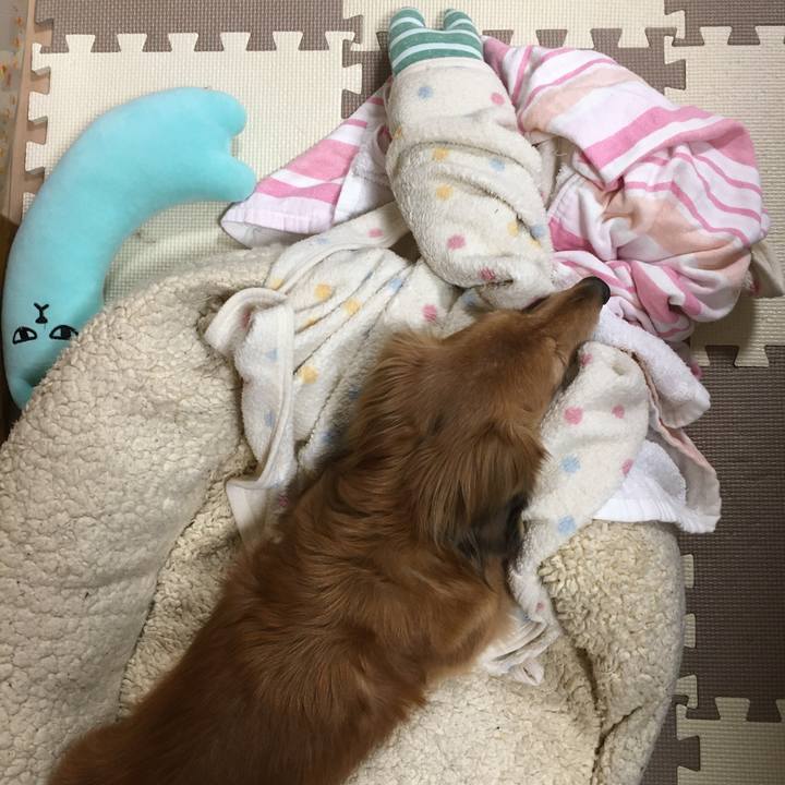 6b6495de 3e60 4245 975b 04775fa32064 1608039084696