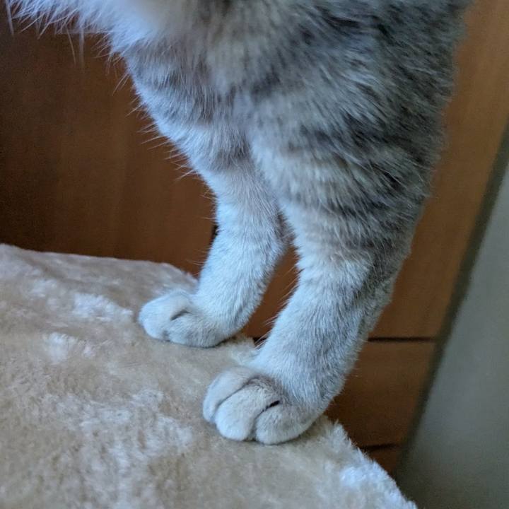 6b64a607 b939 4c95 9f5f bb5cca4fe076 1761205131205