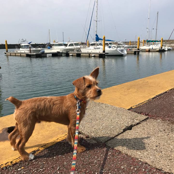 6b64a92c c777 4b18 b006 628770d853e3 1524112862845