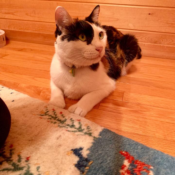 6b64af48 136e 420b ae44 ed83dd7124ce 1568713277770