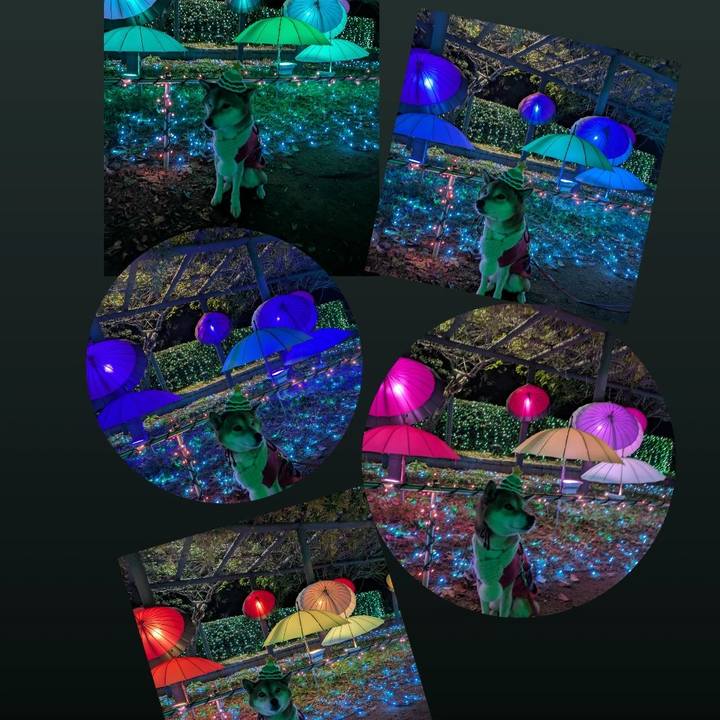 6b64b9fd 25c6 4f61 846e 11f686909f53 1732584131190