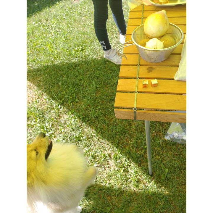 6b64e584 bda6 4841 9221 6cba20c4942d 1754351729564