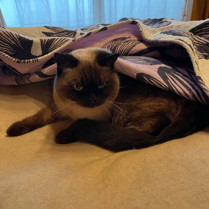 6b6501db a4c8 402a 82e8 c262cb83ce9d 1640486807666