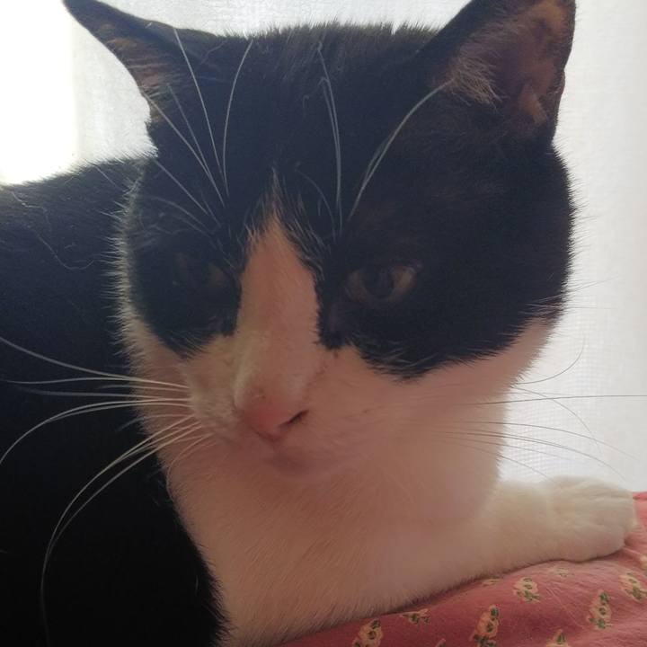 6b654bd9 b0ca 4c10 ad09 9c89b386853d 1558302698517