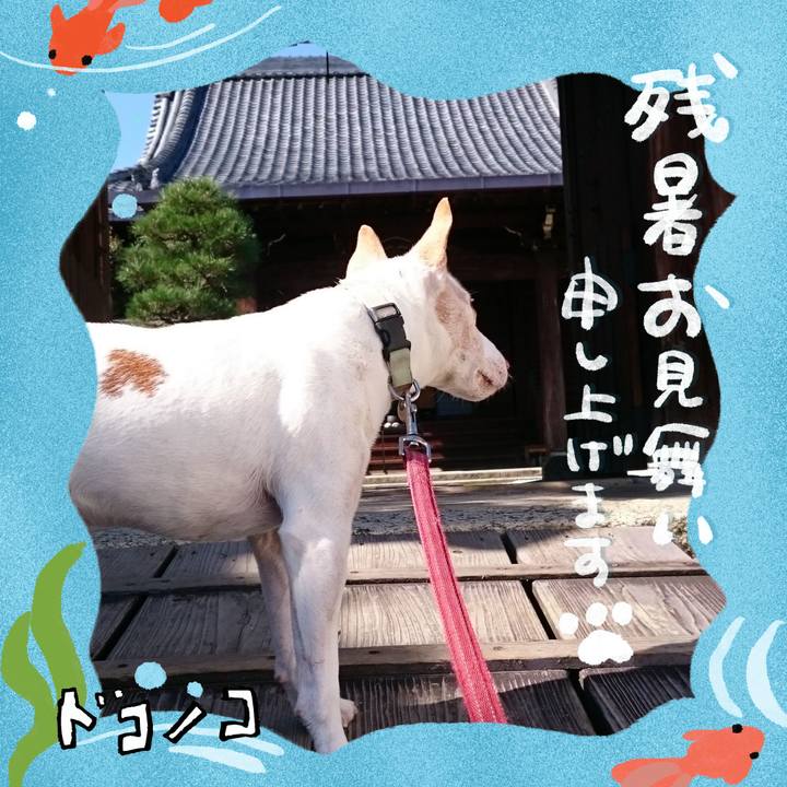 6b658d65 1db7 4209 8ece cddd9d6bd341 1723274521721