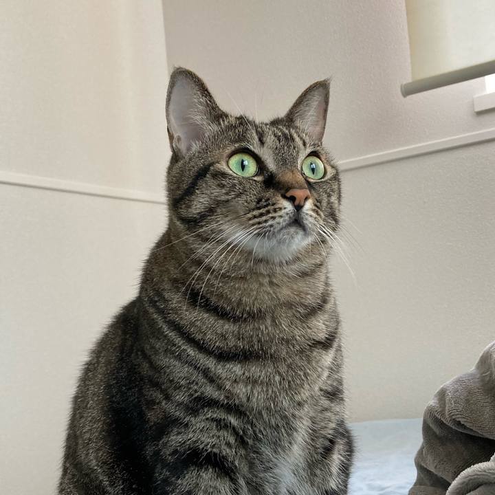 6b65ba0d 7f75 4391 a55e 5e30964a1629 1602387913678