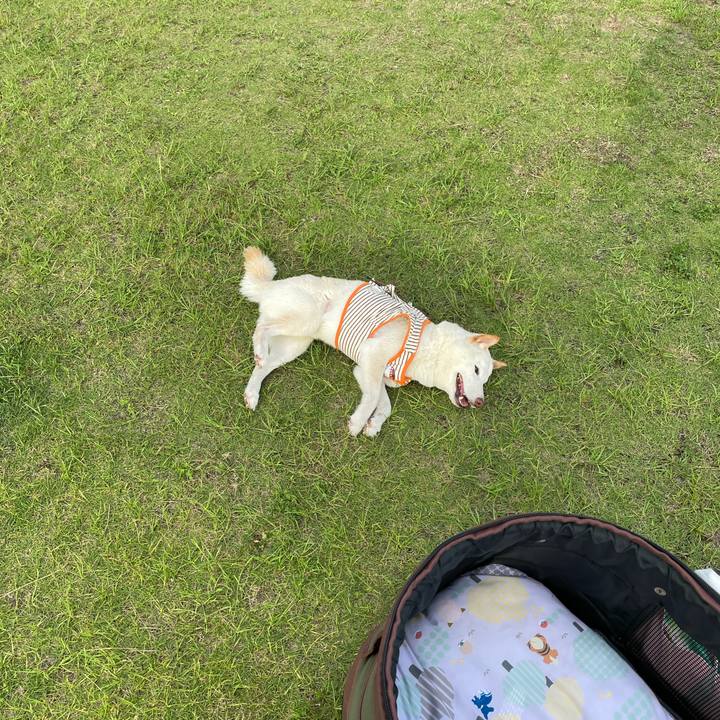 6b661ad4 9d87 4cd1 bed5 546ae027ba87 1656505633428